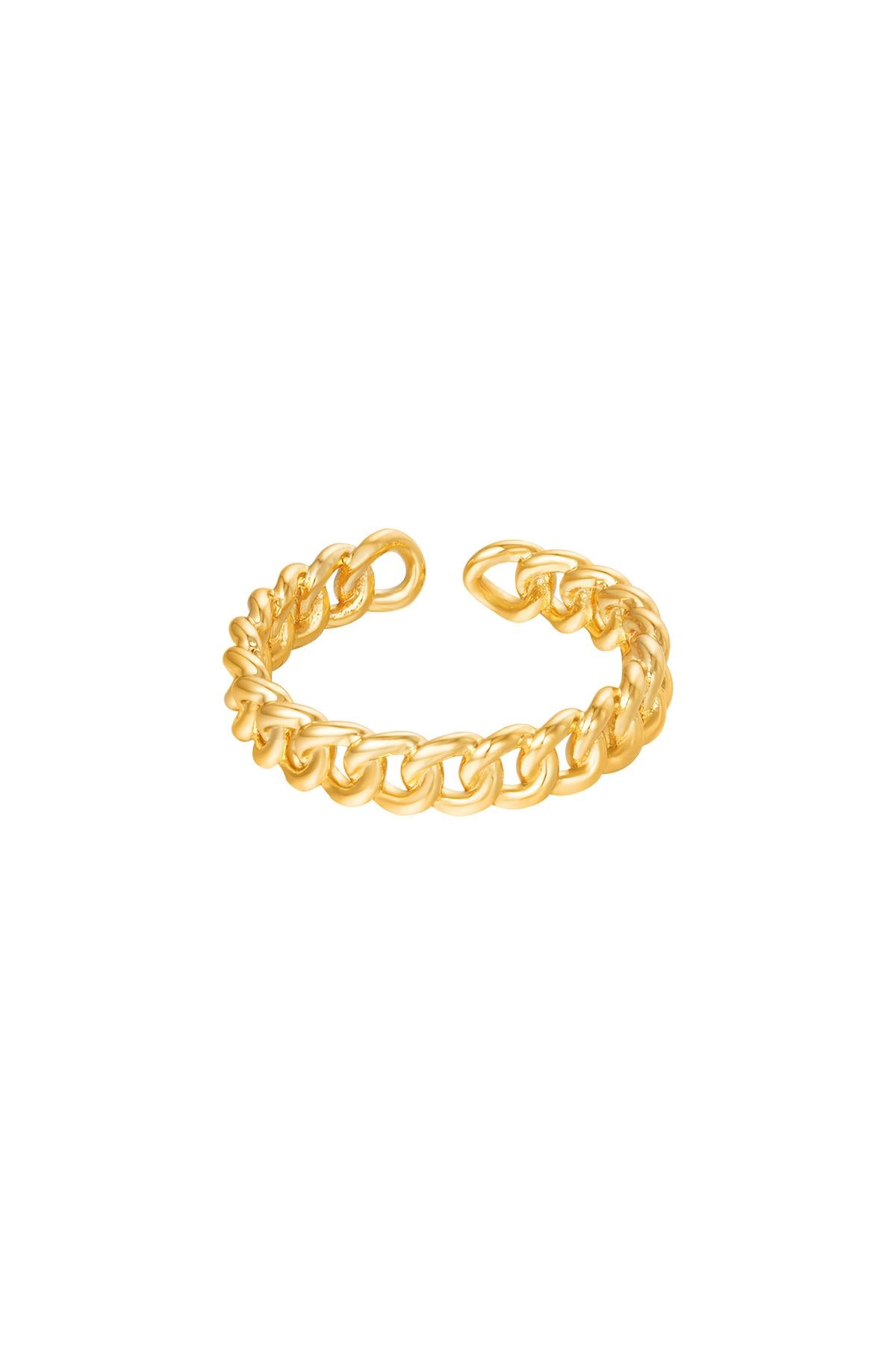Ring Schakeltjes