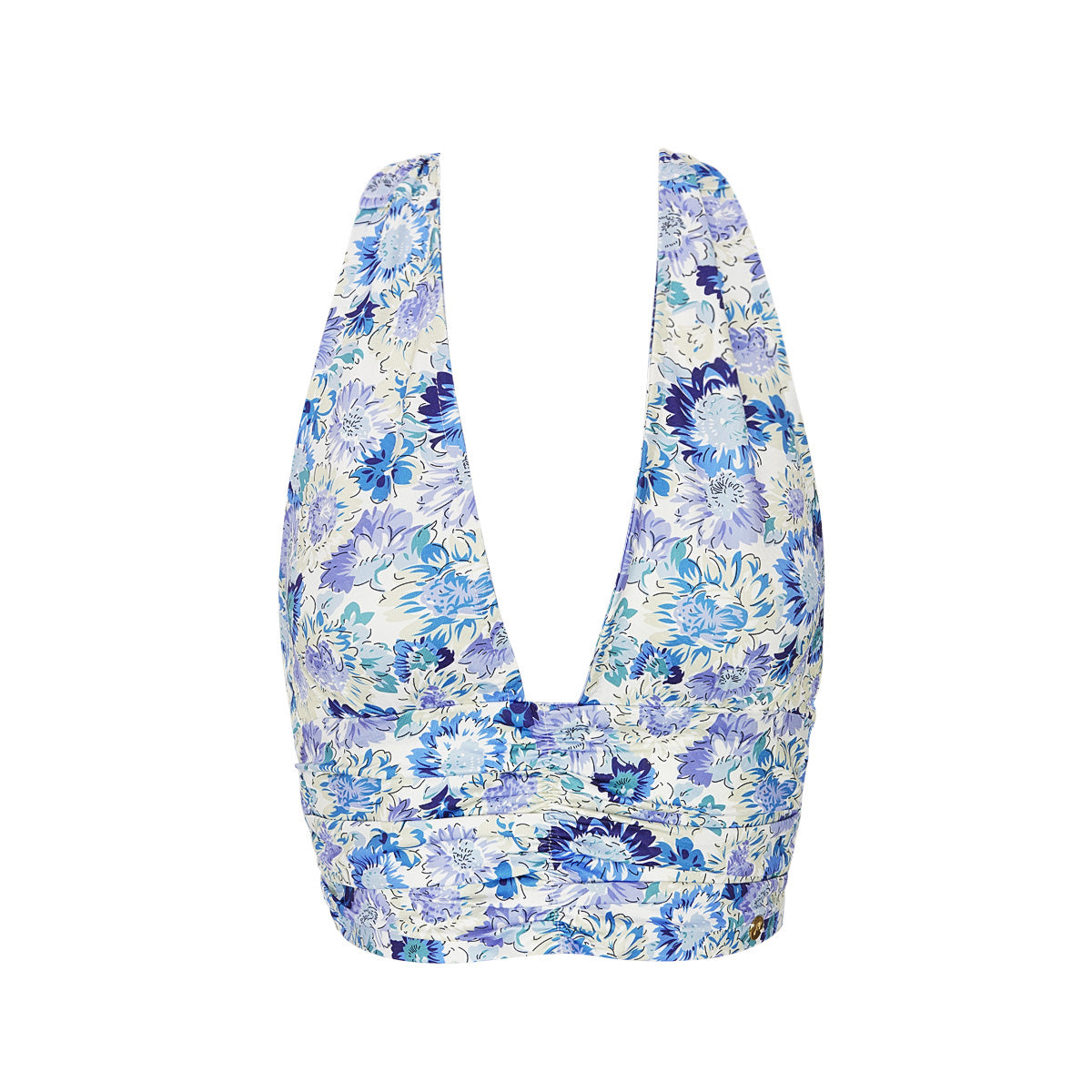 Top Blue Flowers